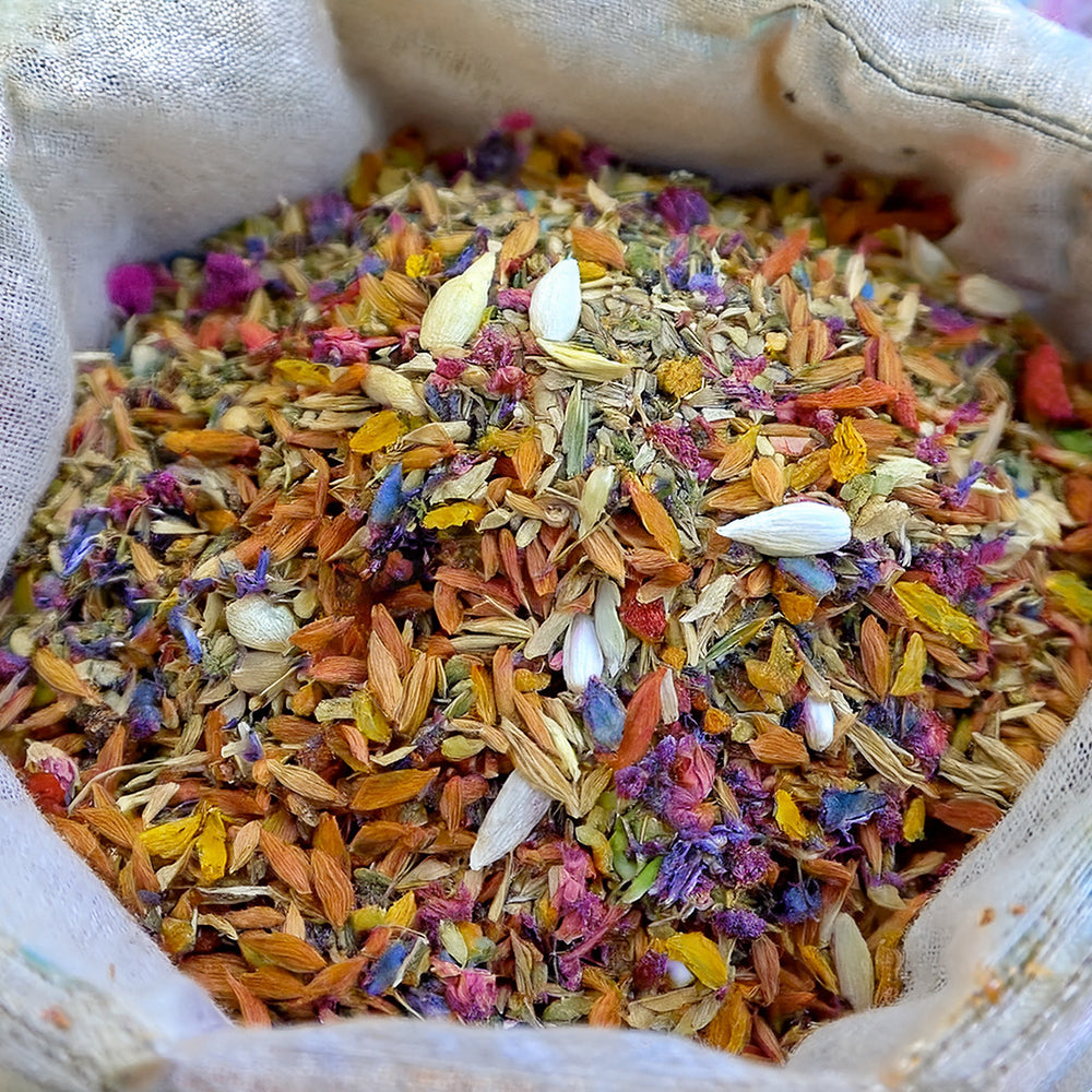 GFOUK® Vibrant Blossom Seeds