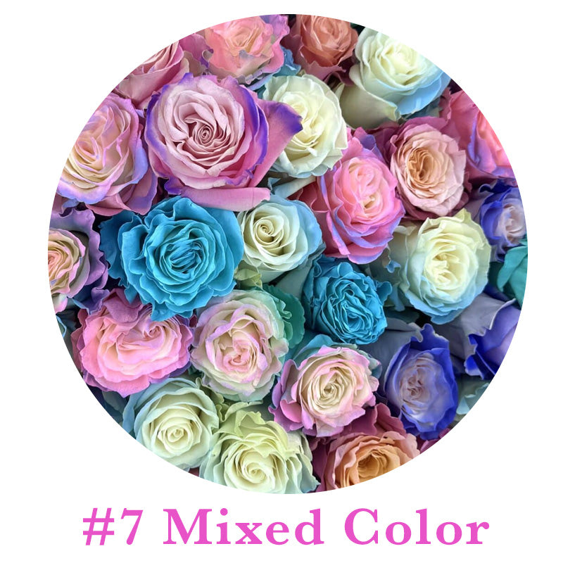 🌹Rare Multi Colorful Rose Flower Seeds | Exclusive Multi-Color Collection🎖️100% Easy-To-Grow