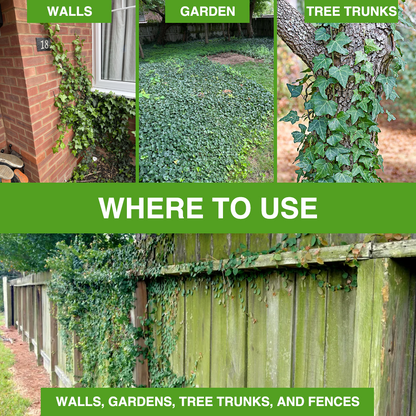 GFOUK® IvySeal Precision Root Gel