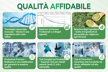💖 Store Ufficiale | 🎉GFOUK® Moringa · Berberina × NAD+ Cerotto avanzato 10-in-1 con microneedle nano  🕒 Solo una volta al giorno 💖 Cambiamenti visibili già in 7 giorni