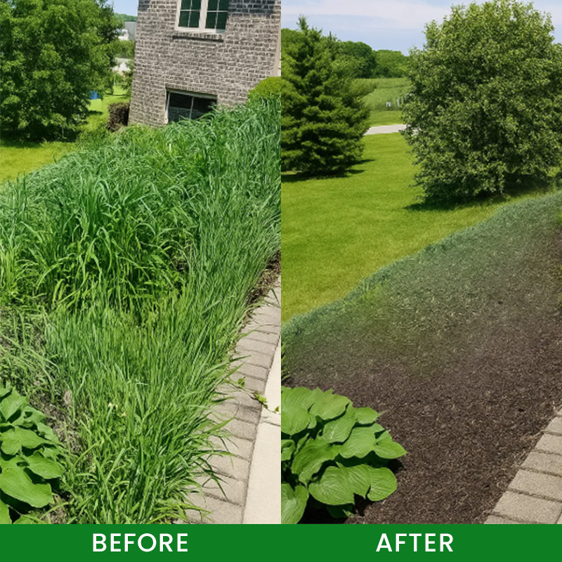 🌱GFOUK® Cyclosinone Herbicide Granules