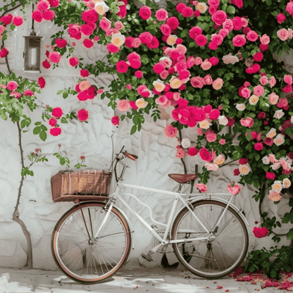 🌹 GFOUK® Mixed-color Climbing Rose—Year-Round Blooming