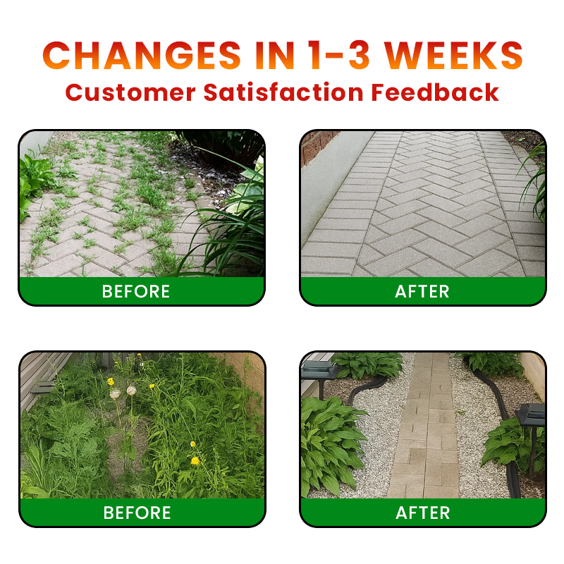 🌱GFOUK® Cyclosinone Herbicide Granules