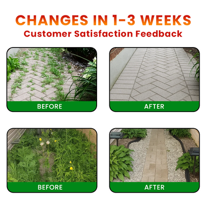 🌱GFOUK® Cyclosinone Herbicide Granules