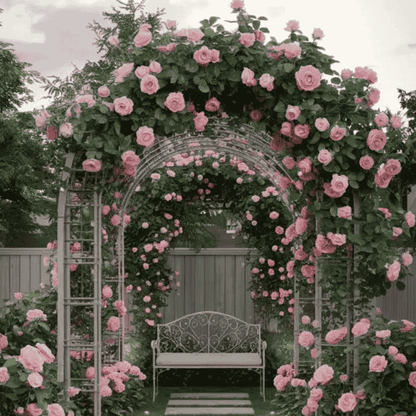 🌹 GFOUK® Mixed-color Climbing Rose—Year-Round Blooming