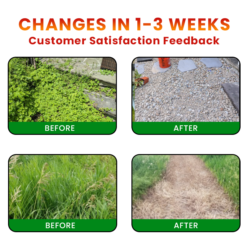 🌱GFOUK® Cyclosinone Herbicide Granules