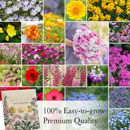 Premier Partial-Shade Bloom Mix Seed Collection🎖️ 100% Easy-to-grow 💐 Premium Quality