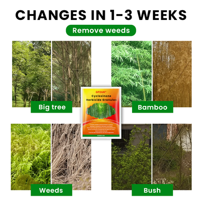 🌱GFOUK® Cyclosinone Herbicide Granules