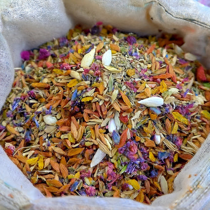 GFOUK® Vibrant Blossom Seeds