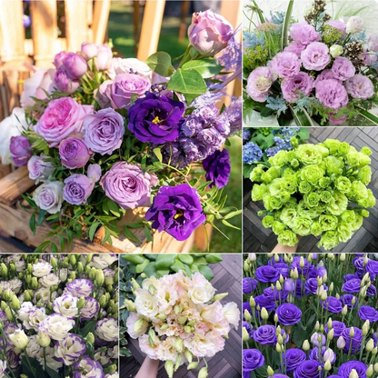 🌈GFOUK® Lisianthus Flower Seeds - A Sincere and Immutable Love