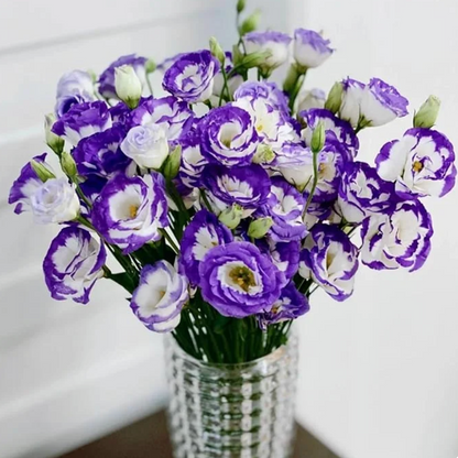 🌈GFOUK® Lisianthus Flower Seeds - A Sincere and Immutable Love