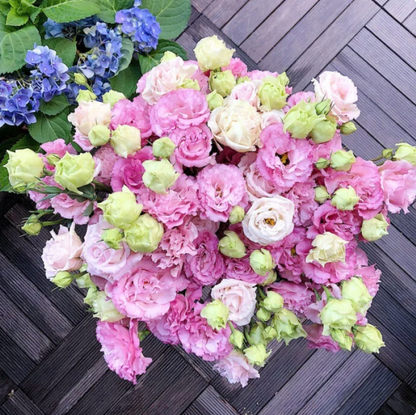 🌈GFOUK® Lisianthus Flower Seeds - A Sincere and Immutable Love