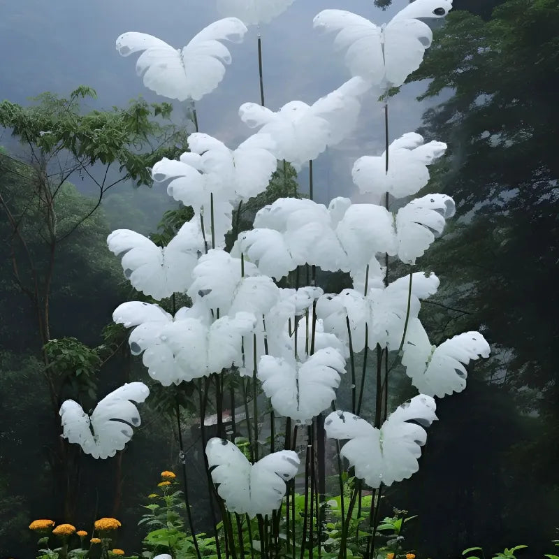 White Butterfly Bloom Collection | Rare and Beautiful Petals for Indoor & Outdoor Gardens