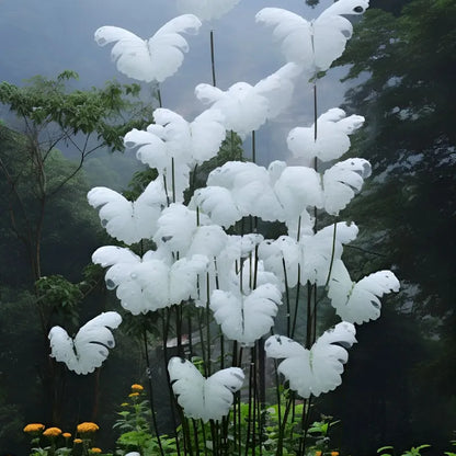 White Butterfly Bloom Collection | Rare and Beautiful Petals for Indoor & Outdoor Gardens