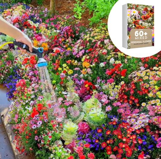 🌈GFOUK® 60+ Garden Flower Seeds🔥Growing into Shasta Daisy, Cornflower, Sunflower, Zinnia, Lavender - 70% OFF