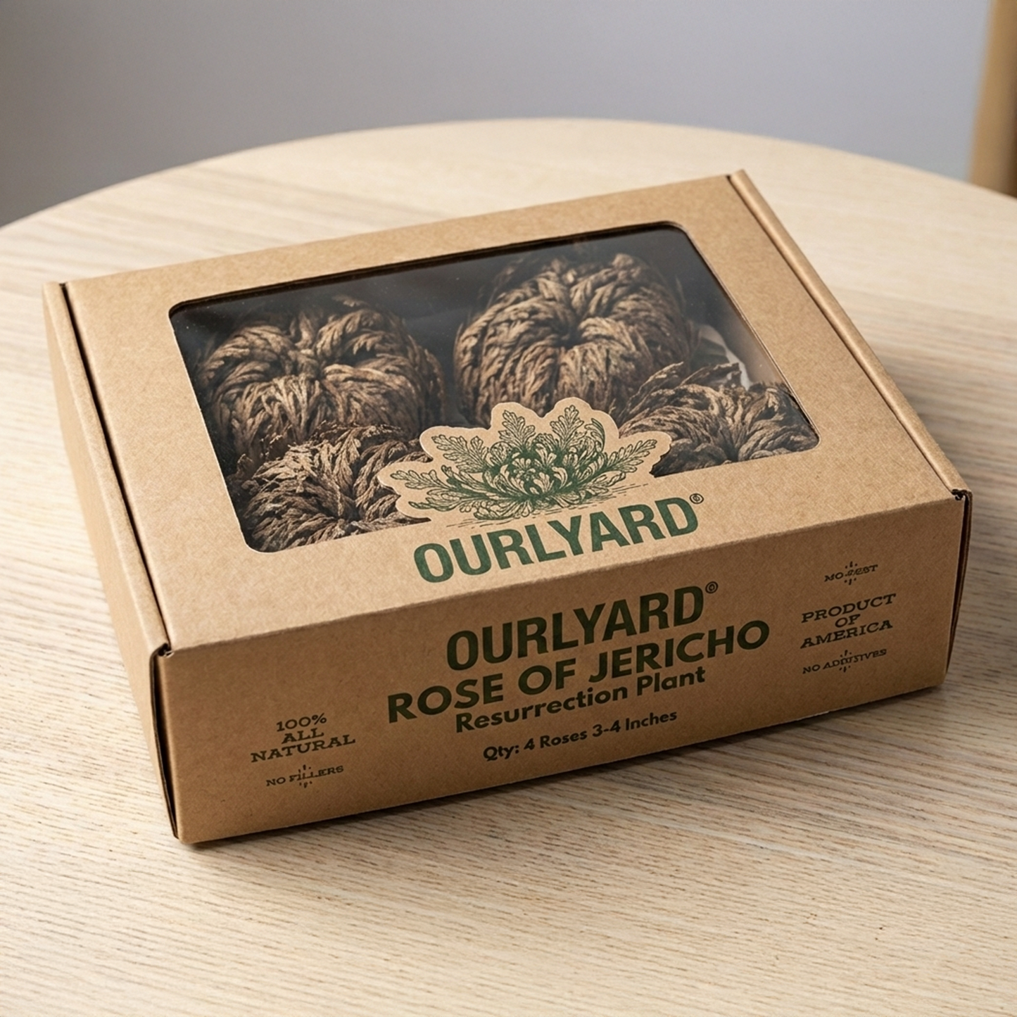 The Phoenix Rose, Rose of Jericho🪴A plant you can't kill