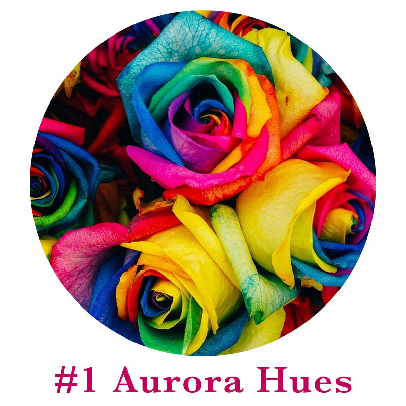 🌹Rare Multi Colorful Rose Flower Seeds | Exclusive Multi-Color Collection🎖️100% Easy-To-Grow