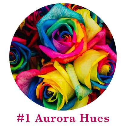 🌹Rare Multi Colorful Rose Flower Seeds | Exclusive Multi-Color Collection🎖️100% Easy-To-Grow