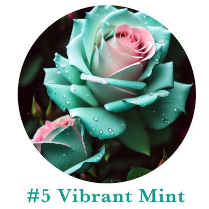 🌹Rare Multi Colorful Rose Flower Seeds | Exclusive Multi-Color Collection🎖️100% Easy-To-Grow